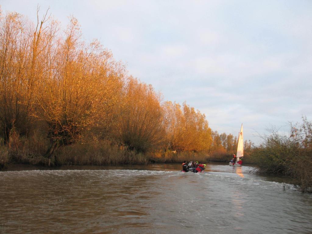 Bed And Breakfast De Biesbosch - In 'T Riet Drimmelen Luaran gambar